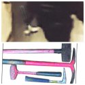 suspect enhanced hammer color.jpg