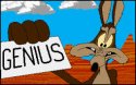 wile.jpg
