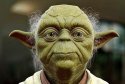 10-Reasons-Why-Your-Baby-is-Like-Yoda-MainPhoto1.jpg