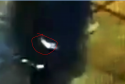 Capture-white cell.PNG