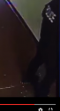 legs.png