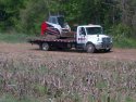 bobcat at Millard Ayr Farm2.jpg