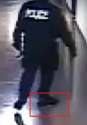 MB case perp5.png