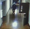 Perp 2.JPG