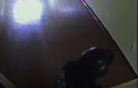 helmet.png