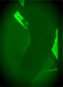 white thing on left and in right tool pocket.png
