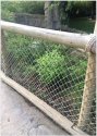 NewCincinnatiZooFence.jpg