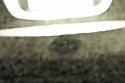 N2 sticker.png
