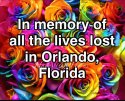 roses orlando.jpg