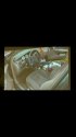 FrontSeat.jpg