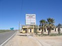 yucca2.jpg
