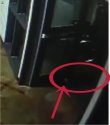 spot.jpg