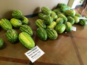 MB watermelons.png
