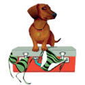 Hound-200x2001.png