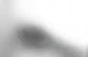 right eye 1.05A.png