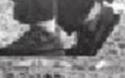 Mund sneaker pattern.PNG