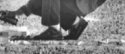 Mund shoes.jpg