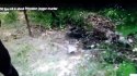 20160818_193904.jpg
