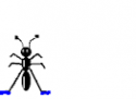 Ant.png