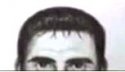 Ferguson identikit.jpg