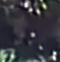 KV CWD Point of Focus - Edited.png