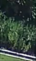 KV CWD Point of Focus.jpg