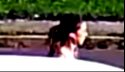 KV very first look - Edited.jpg