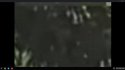 Screenshot 2016-09-13 at 1.21.32 PM.jpg