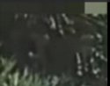 KV turns away Oddmvmnt 1.jpg