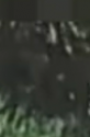 Screenshot 2016-09-14 at 10.13.10 AM.png