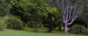 clumps.png