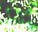 KV ND ###1xry - Edited.jpg