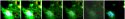 Screenshot 2016-09-15 at 11.00.30 PM.jpg Screenshot 2016-09-15 at 11.00.30 PM.jpg