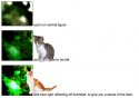 kittens.jpg