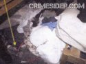 shoe left slootcrimescene_10_062110 2.JPG
