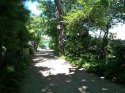 100_2321.jpg