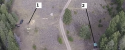 vt.png