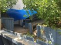angle of missing fence piece1.jpg