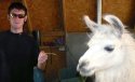 james-holmes-llama.jpg