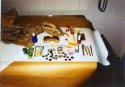dw purse contents big.jpg