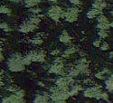 visibility.png