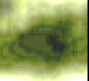 mfttt - Edited.jpg