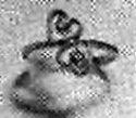 191UFLA4.jpg