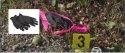 Pink Black item circle.jpg