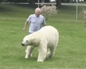 an weird looking dog.gif