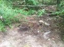 marcotte where body found.JPG