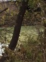 Fall River 3.jpg