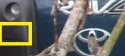 Capture-1234567.jpg