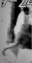 bse4-copy-7.jpg