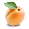 apricot_PNG12652.png